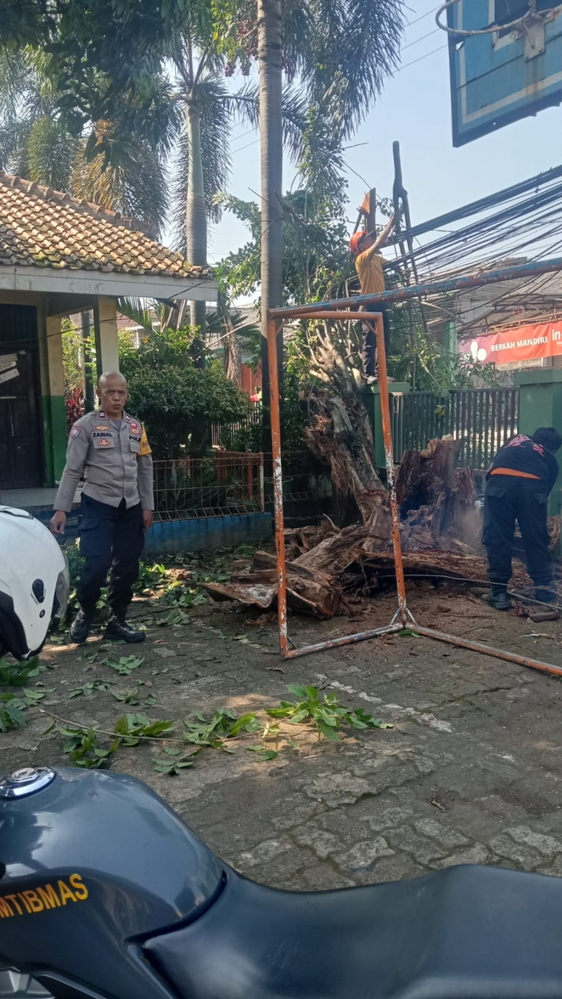 Respon Cepat, Polsek Bantargebang Bersama BPBD Bekasi Evakuasi Pohon Tumbang yang Tutupi Jalan