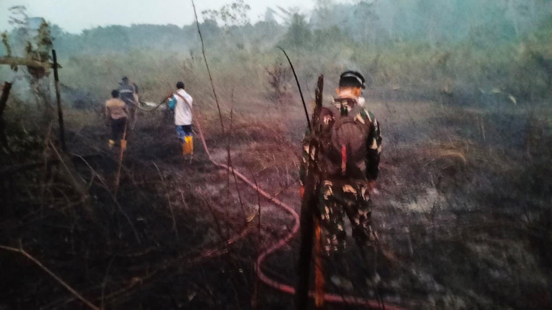 Respons Cepat Karhutla Dekat IKN, TNI Gerakkan Helikopter Caracal untuk _Water Bombing