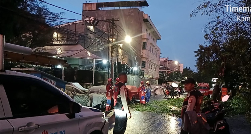 Respon Cepat Polsek Metro Penjaringan Tangani Pohon Tumbang, Akses Warga Kembali Normal