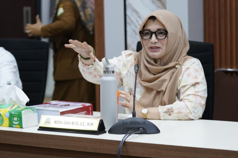 Nora Idah Nita Desak Pemerintah Pusat Percepat Pencairan Bantuan Korban Bencana Hidrometeorologi di Aceh