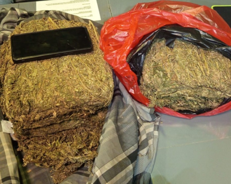 Polda Metro Jaya Menggagalkan Peredaran 4,3 Kilo Gram Ganja di Wilayah Depok