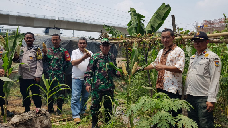 Polri Panen Raya Jagung Serentak Digelar di Pademangan Dorong Swasembada Pangan 2025