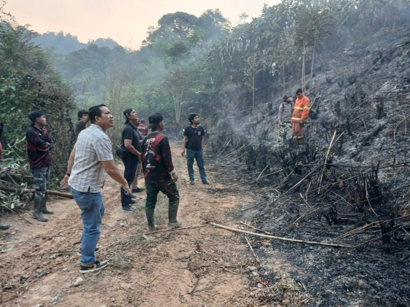 Polda Jambi Tangani Karhutla Seluas 5 Hektare di Areal PT Jebus Maju Merangin