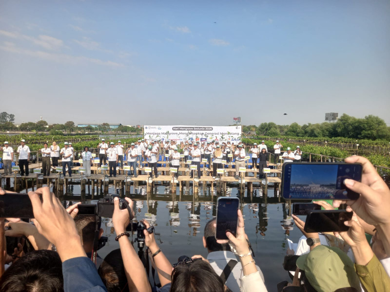 Wakil Gubernur DKI Rano Karno Tanam Mangrove di Angke Kapuk, Polisi Kerahkan 31 Personel Pengamanan