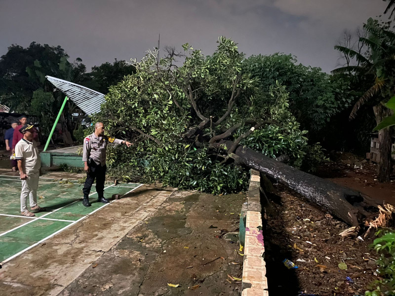 Bhabinkamtibmas Jaticempaka Sigap Evakuasi Pohon Tumbang Timpa Pos Ronda