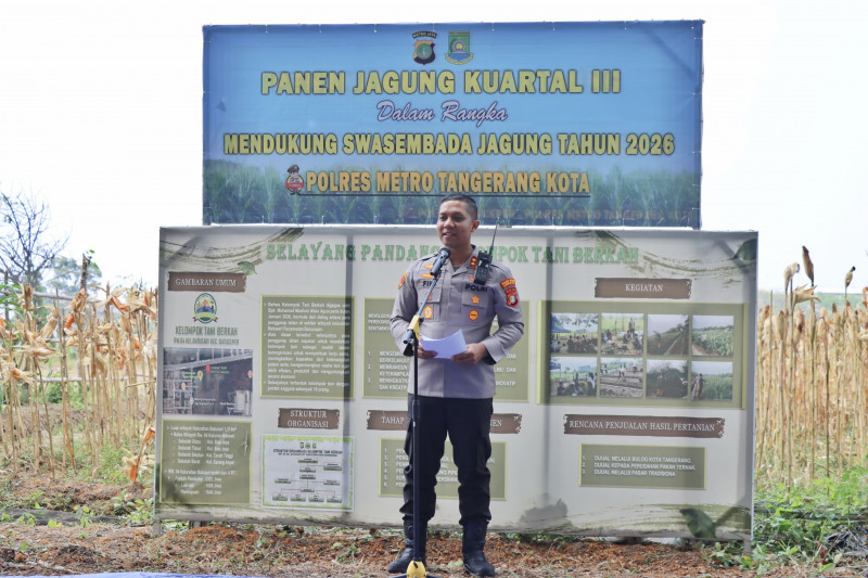 Polres Metro Tangerang Kota Panen Jagung di Batuceper, Dukung Swasembada Pangan