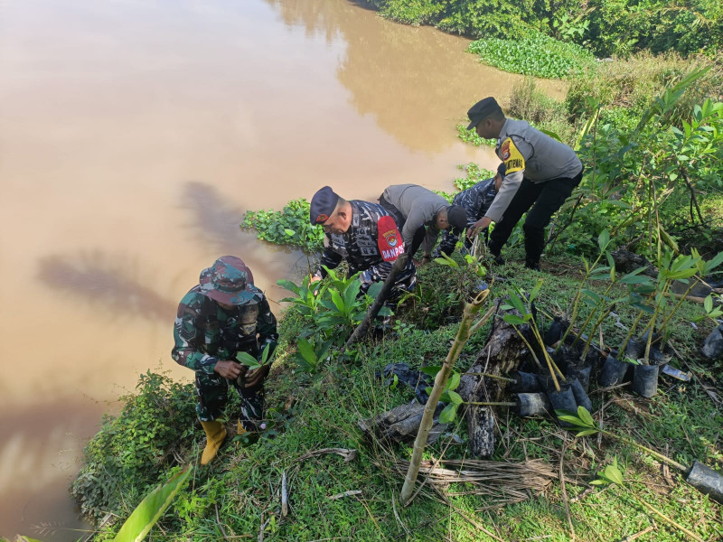 Posbinpotmar Bengkulu Tengah Bersinergi Dengan Koramil dan Polsek Pondok Kelapa Tanam Mangrove