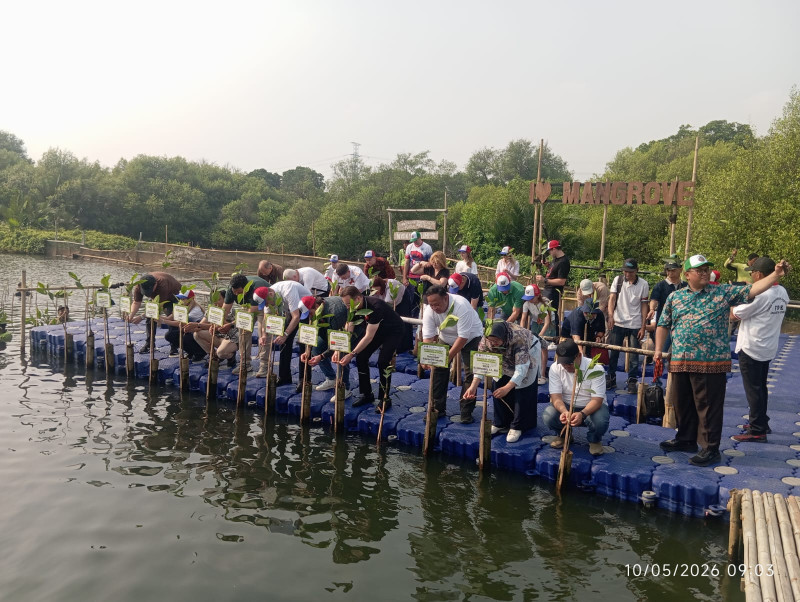 Diplomasi Hijau Warnai Peringatan Victory Day Rusia di Jakarta Utara, Ratusan Mangrove Ditanam di Hutan Lindung Angke Kapuk