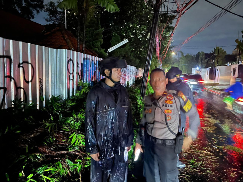 Brimob Polda Metro Jaya Sigap Evakuasi Pohon Tumbang di Kebayoran Baru, Arus Lalu Lintas Kembali Lancar