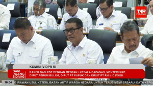 Pemerintah: Ketersediaan Jagung, Gula, hingga Telur Ayam Diproyeksikan Surplus Jelang El Nino “Godzilla”