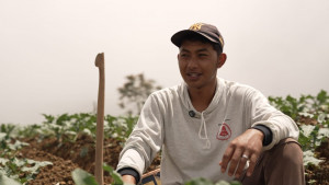 Petani Sayur di Boyolali Tersenyum Berkat MBG, Harga Naik dan Permintaan Meningkat
