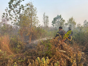 Lokalisasi dan Padamkan Api, Lanal Banjarmasin Bersama Dishut Kalsel Jinakkan Karhutla Gambut