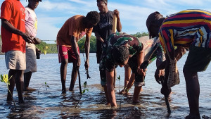 Bersatu Dengan Alam, Satgas TMMD Kodim 1710/Mimika Tanam Ribuan Bibit Mangrove