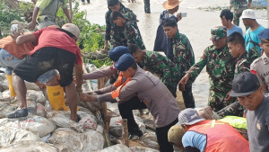 Tanggul Jebol di Muara Gembong, Brimob Bersama TNI dan Warga Bahu-Membahu Lakukan Penanganan
