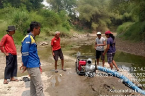Pemerintah Gerak Cepat Tangani Kekeringan di 1.229 Lokasi, Selamatkan 41 Ribu Hektare Sawah dan Bantu 616 Ribu Jiwa