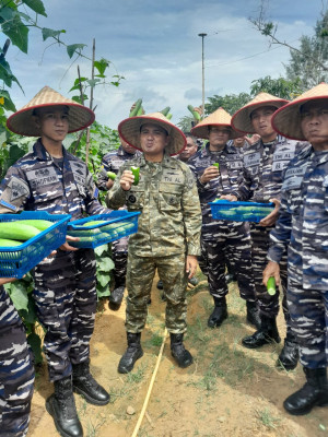 Lanal Dabo Singkep Laksanakan Panen Ketimun Dalam Program Ketahanan Pangan TNI AL 2025