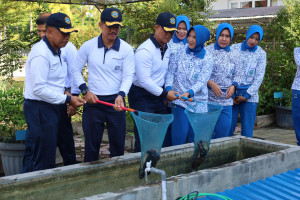 Dari Lahan Yang Terbatas Pangkalan TNI Angkatan Laut Dumai Buktikan Komitmen Wujudkan Ketahanan Pangan Nasional