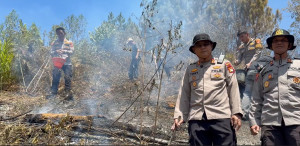 Karhutla Hanguskan 5 Hektare Lahan di Mamasa, Polisi dan Damkar Berjibaku Padamkan Api