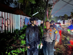 Brimob Polda Metro Jaya Sigap Evakuasi Pohon Tumbang di Kebayoran Baru, Arus Lalu Lintas Kembali Lancar
